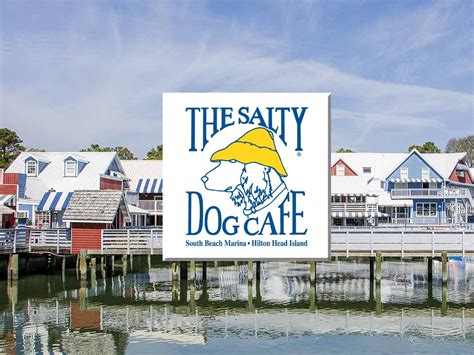 hilton head island salty dog cafe